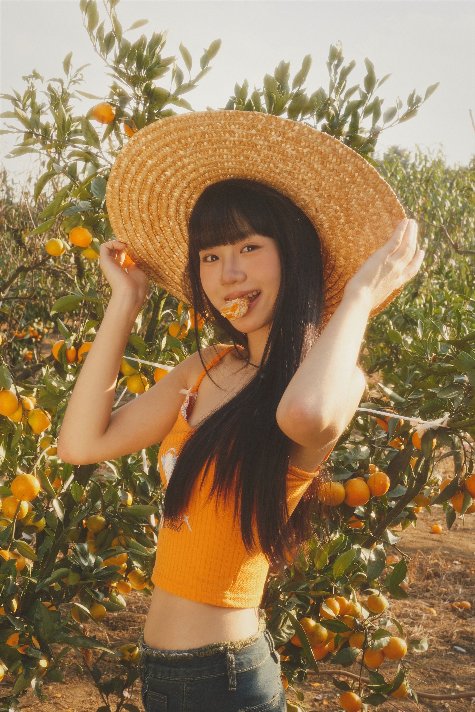 YITUYU艺图语 2025.01.26 橘子园 是三金呀